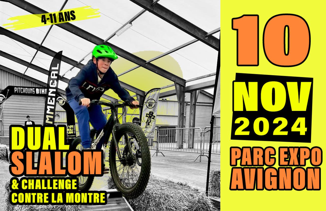 pitchouns-bike---dual-slalom